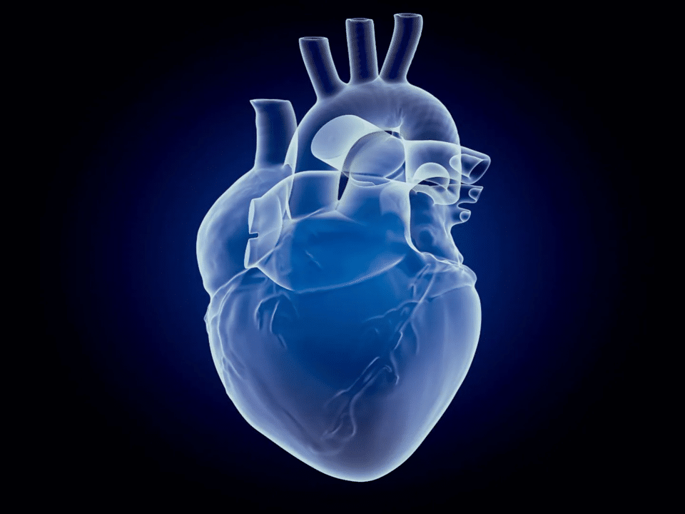 heart disease